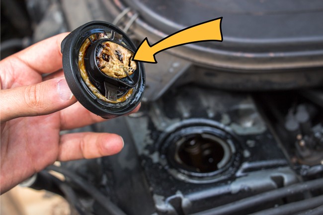 1972-articles-2-650 dqxikeidqxidqeant