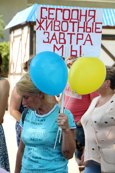 «Сегодня животные, завтра мы»: в Николаеве митинговали против усыпления бездомных собак - Copyright https://news.pn dqxikeidqxidqrant