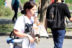 «Сегодня животные, завтра мы»: в Николаеве митинговали против усыпления бездомных собак - Copyright https://news.pn