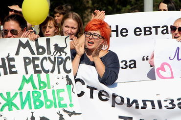 «Сегодня животные, завтра мы»: в Николаеве митинговали против усыпления бездомных собак - Copyright https://news.pn