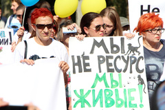 «Сегодня животные, завтра мы»: в Николаеве митинговали против усыпления бездомных собак - Copyright https://news.pn
