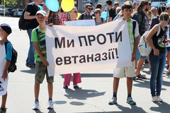 «Сегодня животные, завтра мы»: в Николаеве митинговали против усыпления бездомных собак - Copyright https://news.pn