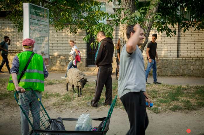 Хасиды в Умани_12