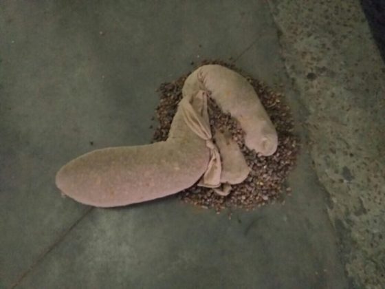 Українець намагався вивезти за кордон бурштин, сховавши його під обшивкою авто Українець намагався вивезти за кордон бурштин, сховавши його під обшивкою авто