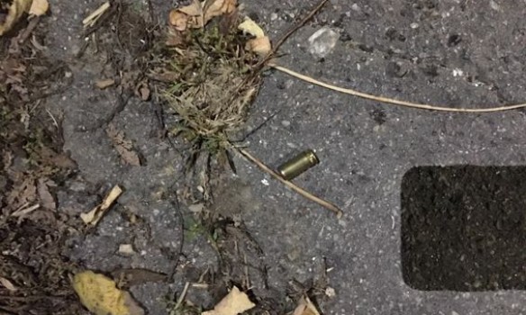 Стрельба в Николаевской области dqxikeidqxidqrant