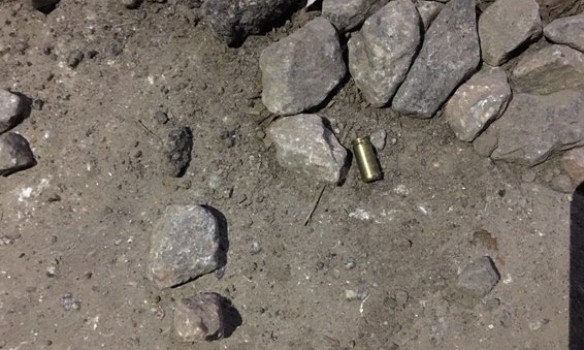 Стрельба в Николаевской области