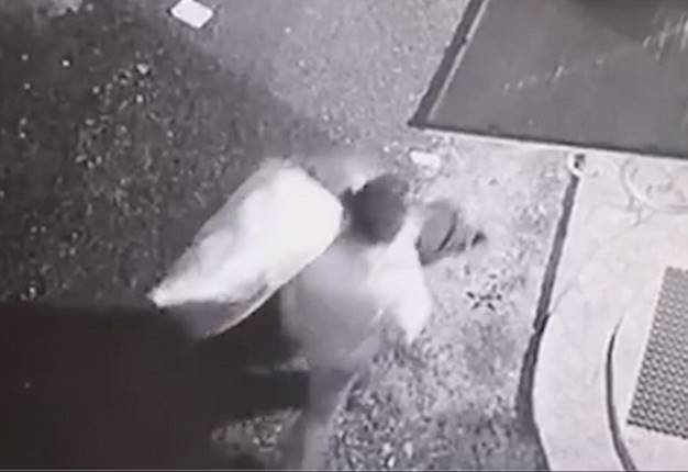 Фото: kyiv.npu.gov.ua