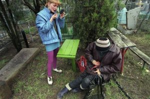 , begemot, begemotmedia, , , - , , 