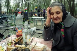 , begemot, begemotmedia, , , - , , 