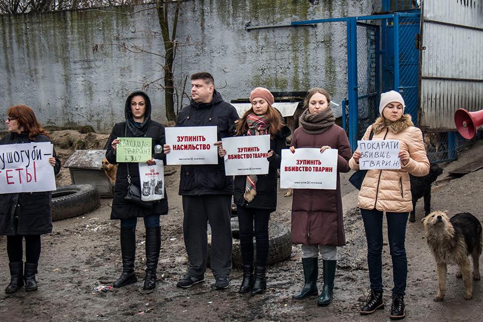 30      ,      dqxikeidqxidqrant