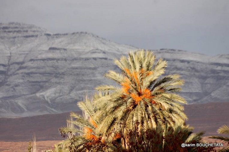 Снег dqxikeidqxidqeant