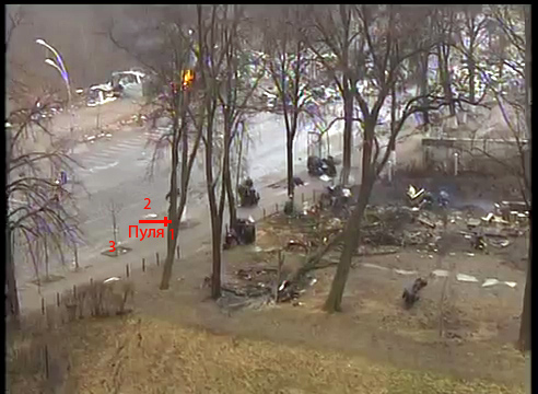 Дерево с пулей Дерево с пулей