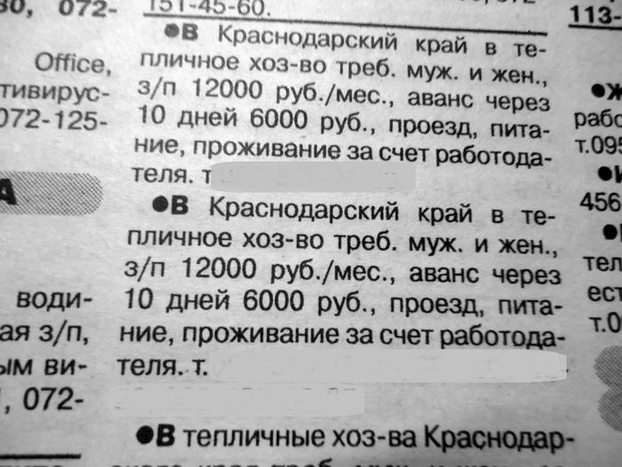 522 dqxikeidqxidqrant