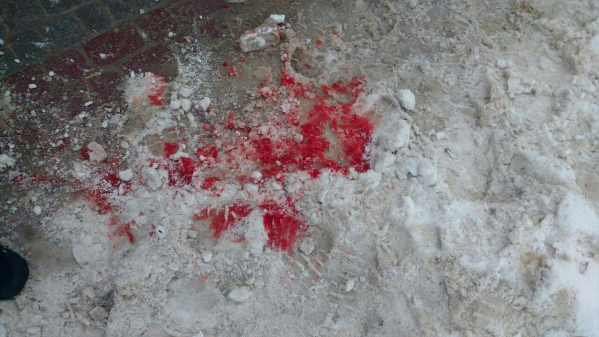 тернополь, свобода, депутат, полиция, нож, правоохранители, мужчина, сын, школа, нападающий