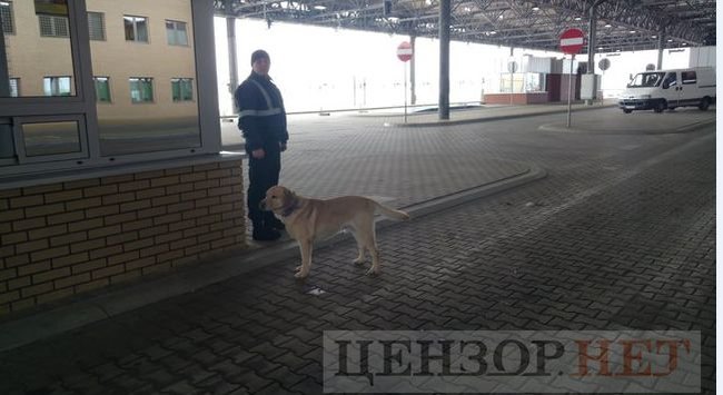    - :    01 dqxikeidqxixeant