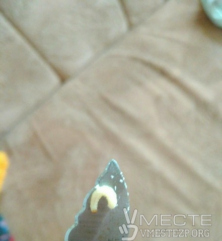 30020392_612734499079362_580357342_n