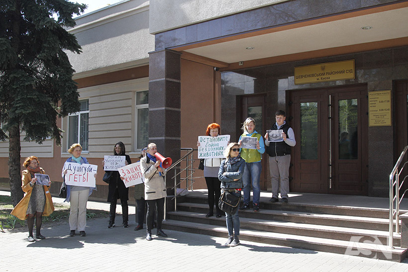 догÑ
анÑеÑ, ÑвÑÑогоÑ, коÑÑенко, ÑÑд, зоозаÑиÑники, живоÑнÑе, Ñобаки, закон, акÑиÑ, Ð¶Ð¸Ð²Ð¾Ð´ÐµÑ dqxikeidqxidqrant