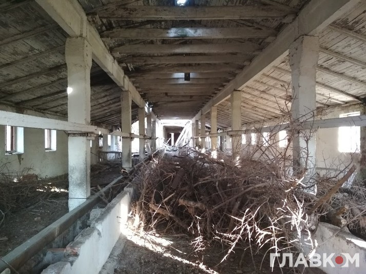 На території зони відчуження знаходиться безліч покинутих будівель. Наприклад, як ці стайні