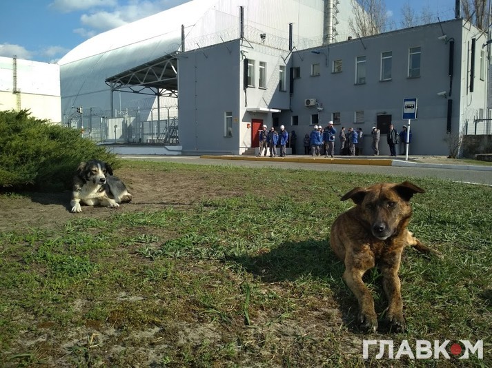 Епіцентр чорнобильської катастрофи. 32 роки потому