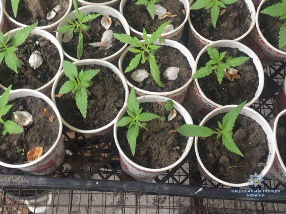 ÐаÑполиÑÐ¸Ñ Ð½Ð°ÐºÑÑла наÑколабоÑаÑоÑÐ¸Ñ Ð½Ð° ÐÑвовÑине: изÑÑÑо ÑоваÑа на 300 ÑÑÑÑÑ Ð³Ñивен 05