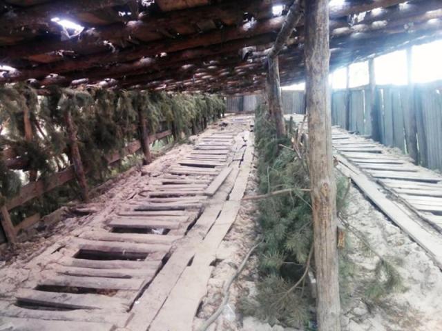 Ñ‚ÑƒÐ°Ð»ÐµÑ‚, Ð¿Ð¾Ð»Ð¸Ð³Ð¾Ð½, Ð²Ð¾ÐµÐ½Ð½Ñ‹Ðµ, Ð°Ñ‚Ð¾, Ð²Ð¾Ð¹Ð½Ð°, ÑÐºÐ°Ð½Ð´Ð°Ð» Ñ Ñ‚ÑƒÐ°Ð»ÐµÑ‚Ð¾Ð¼, Ñ‚Ð°Ð¸ÑÐ¸Ñ Ð³Ð°Ð¹Ð´Ð°, Ñ‚ÑƒÐ°Ð»ÐµÑ‚ Ð¿Ð¸Ð°Ð½Ð¸Ð½Ð¾ dqxikeidqxidqrant