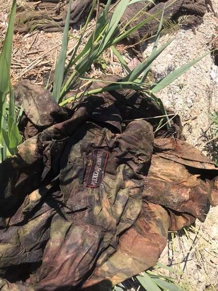   :         () -  125303