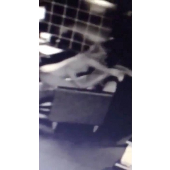 2-В Росії пара влаштувала публічний секс просто у кав’ярні dqxikeidqxidqeant