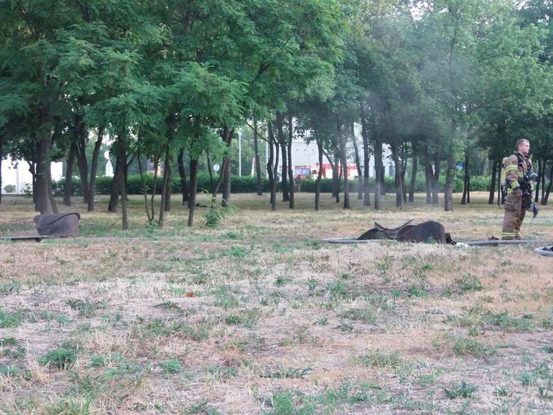 ÐÐ° ÑƒÐ»Ð¸Ñ†Ðµ ÐšÑ€Ð°ÑÐ½Ð¾Ñ‚ÐºÐ°Ñ†ÐºÐ°Ñ, 42 Ð¿Ñ€Ð¾Ð¸Ð·Ð¾ÑˆÐµÐ» Ð¿Ð¾Ð¶Ð°Ñ€ Ð² Ñ‚ÐµÐ¿Ð»Ð¾ÑÐµÑ‚ÑÑ… dqxikeidqxidqrant