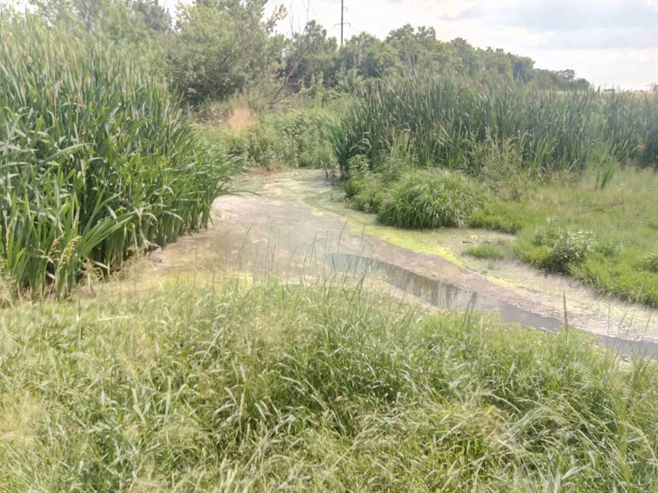 ÐоÑÑомелÑ, ÑкологиÑ, агÑоÑ
олдинг ÐоÑÑомелÑ, ÑÑоÑнÑе Ð²Ð¾Ð´Ñ Ð°Ð³ÑоÑ
олдинга в ÐоÑÑомеле, ÑкологиÑеÑÐºÐ°Ñ ÐºÐ°ÑаÑÑÑоÑа в ÐоÑÑомеле, ÑеÑка Ð?ÑÐ¿ÐµÐ½Ñ ÑÑоки dqxikeidqxidqrant