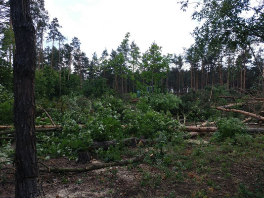 ÐšÐ¸ÐµÐ²Ð’Ð»Ð°ÑÑ‚ÑŒ - ÐÐ¾Ð²Ð¾ÑÑ‚Ð¸ ÐšÐ¸ÐµÐ²Ð° Ð¸ Ð¾Ð±Ð»Ð°ÑÑ‚Ð¸