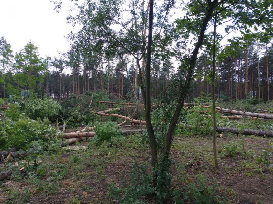 ÐšÐ¸ÐµÐ²Ð’Ð»Ð°ÑÑ‚ÑŒ - ÐÐ¾Ð²Ð¾ÑÑ‚Ð¸ ÐšÐ¸ÐµÐ²Ð° Ð¸ Ð¾Ð±Ð»Ð°ÑÑ‚Ð¸