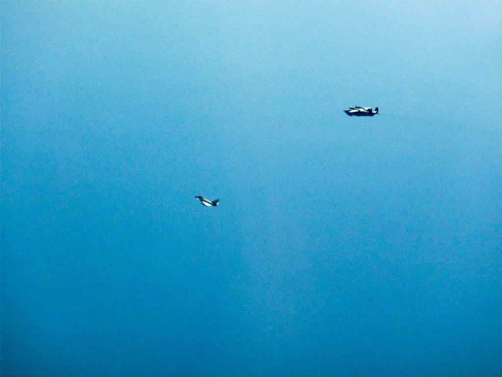        :    dqxikeidqxidqrant