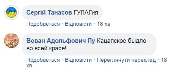 "Убивают младенцев!" Поклонники Путина набросились на россиян из-за Украины. Видеофакт