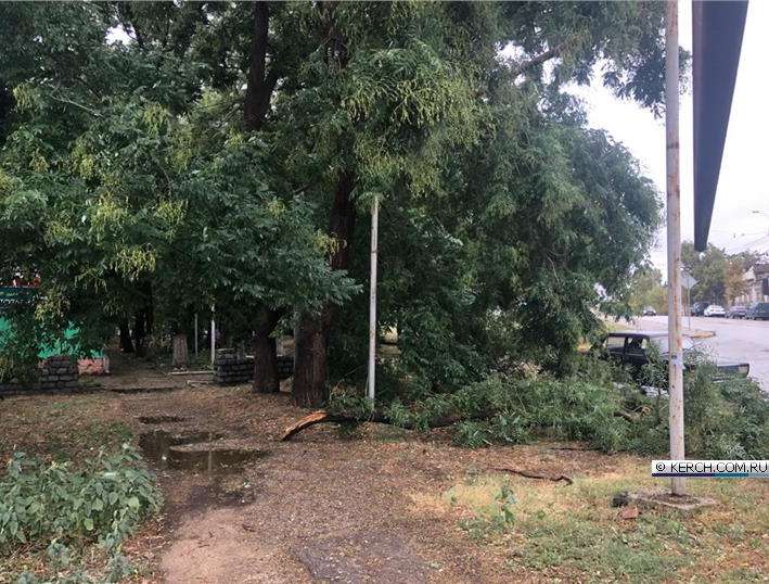     :   ,  .     dqxikeidqxidqrant