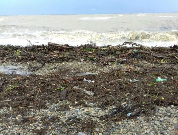 ’’Жизнь в г*вне по-богатому’’: в сети показали ужасающие фото пляжа в России