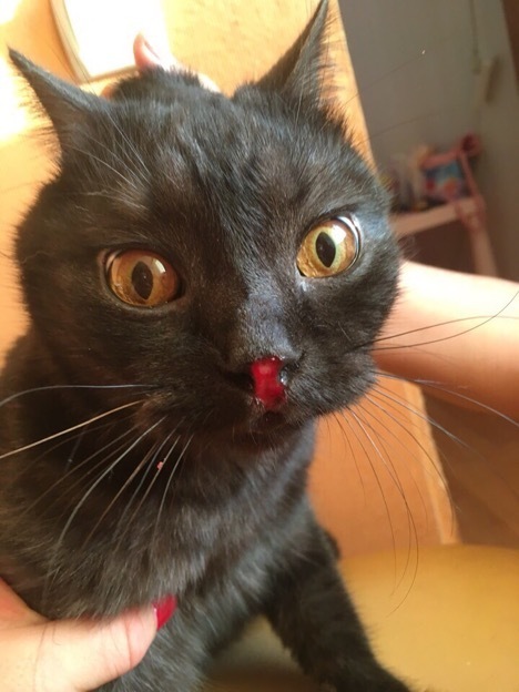 Кожа облазит: жителям Крыма приказали молчать о химической катастрофе