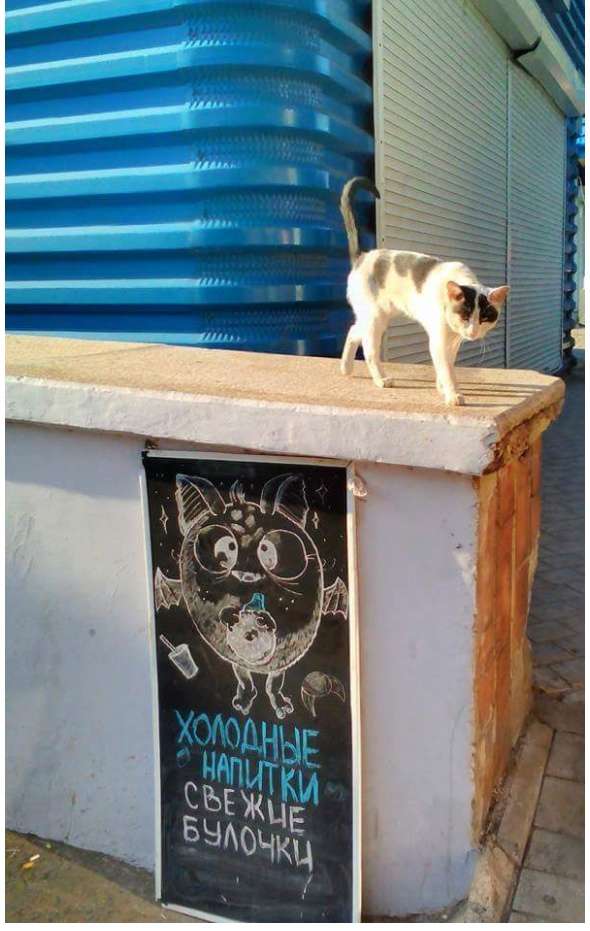 Ð–Ð¸Ð·Ð½ÑŒ Ð² Ð”Ð¾Ð½ÐµÑ†ÐºÐµ Ð¾ÑÑ‚Ð°Ð½Ð¾Ð²Ð¸Ð»Ð°ÑÑŒ