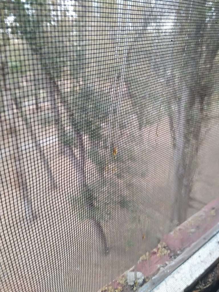 ’’Ð Ð¾Ñ Ð¿ÐµÑеÑ, Ñело ÑеÑеÑÑÑ’’: оÑевидÑÑ ÑаÑÑказали пÑо ’’киÑлоÑнÑй ад’’ в ÐÑÑÐ¼Ñ dqxikeidqxidqeant