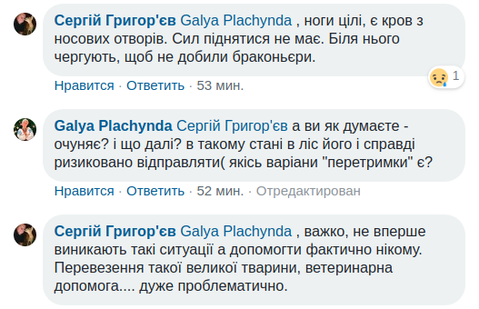 ’’Он обречен, его добьют’’: под Киевом сбили ’’хозяина леса’’. Видео с места ДТП dqxikeidqxidqeant
