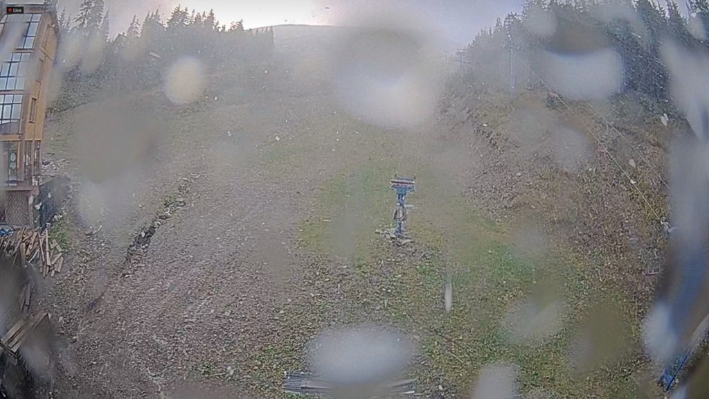 В Украине выпал первый снег: фотофакт