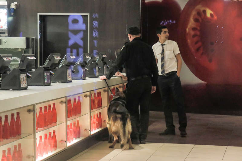 ÐелоÑÑ Ð¾Ð±Ñледование помеÑений взÑÑвоÑеÑ
никами и кинологами