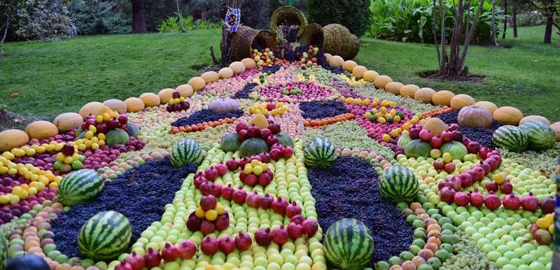 ÐзÑл за ÑÑÐºÑ Ð¸ показал Ñвои аÑбÑзÑ: пÑÐµÐ·Ð¸Ð´ÐµÐ½Ñ Ð¢Ð°Ð´Ð¶Ð¸ÐºÐ¸ÑÑана поÑÑогал ÐÑÑина. Ðидео и ÑоÑоÑакÑ