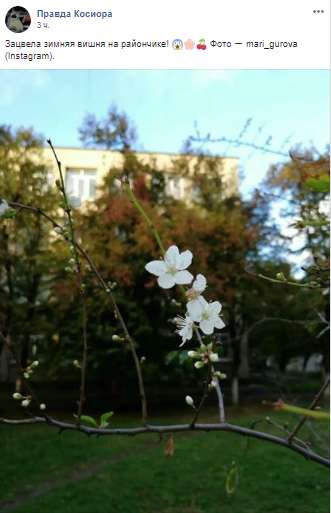 Ð ÐнепÑе Ñнова заÑвела ÑиÑенÑ: ÑоÑоÑÐ°ÐºÑ dqxikeidqxidqeant