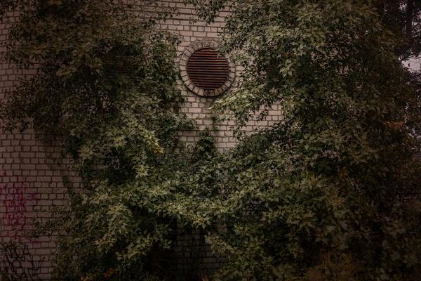 Не юридический термин