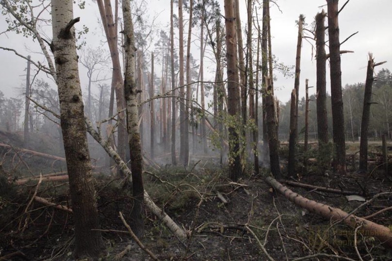 Ðак поÑле аÑомной войнÑ: поÑвилиÑÑ ÑоÑо Ñ Ð¼ÐµÑÑа пожаÑа на ÑкладаÑ
под Ð?Ñней