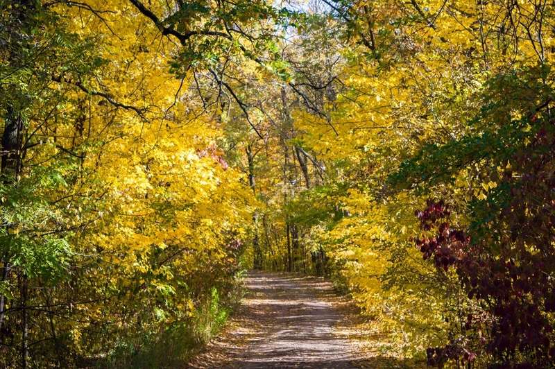 Ðак вÑглÑÐ´Ð¸Ñ ÑÐµÐ³Ð¾Ð´Ð½Ñ Ð·Ð°Ð±ÑоÑеннÑй зениÑно-ÑакеÑнÑй дивизион под ХаÑÑковом dqxikeidqxidqrant
