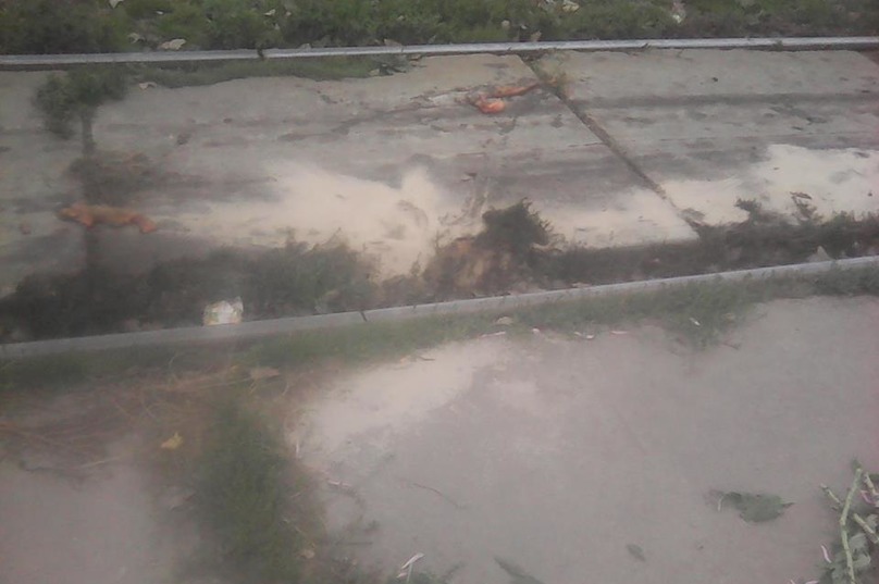 ÐÑиÑÑÑÑили пеÑоÑком: Ð ÐнипÑе оÑÑанки погибÑей женÑÐ¸Ð½Ñ Ð½Ðµ ÑбиÑаÑÑ Ñ ÑÑамвайнÑÑ
пÑÑей (ÑоÑо 18+) dqxikeidqxidqeant