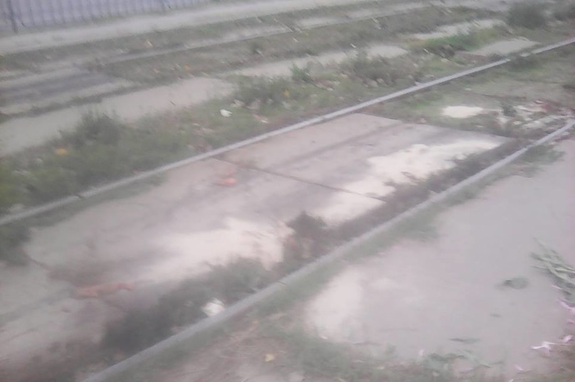 ÐÑиÑÑÑÑили пеÑоÑком: Ð ÐнипÑе оÑÑанки погибÑей женÑÐ¸Ð½Ñ Ð½Ðµ ÑбиÑаÑÑ Ñ ÑÑамвайнÑÑ
пÑÑей (ÑоÑо 18+)