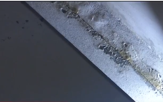 ’’Есть угроза жизни детей’’: школа на Волыни угодила в громкий скандал dqxikeidqxidqeant