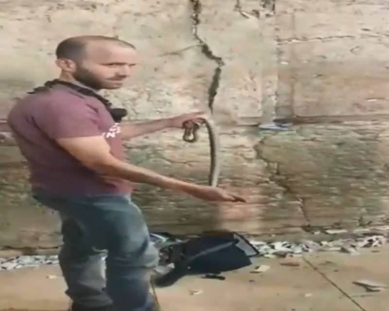   ?       .  dqxikeidqxidqrant